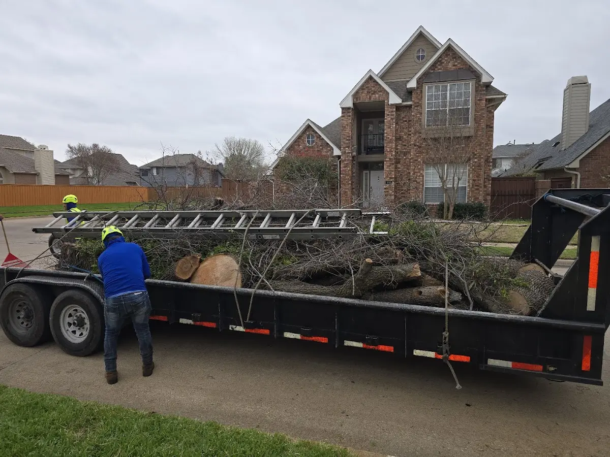 Expert Tree Removal with proper safety equipment in Hawkins